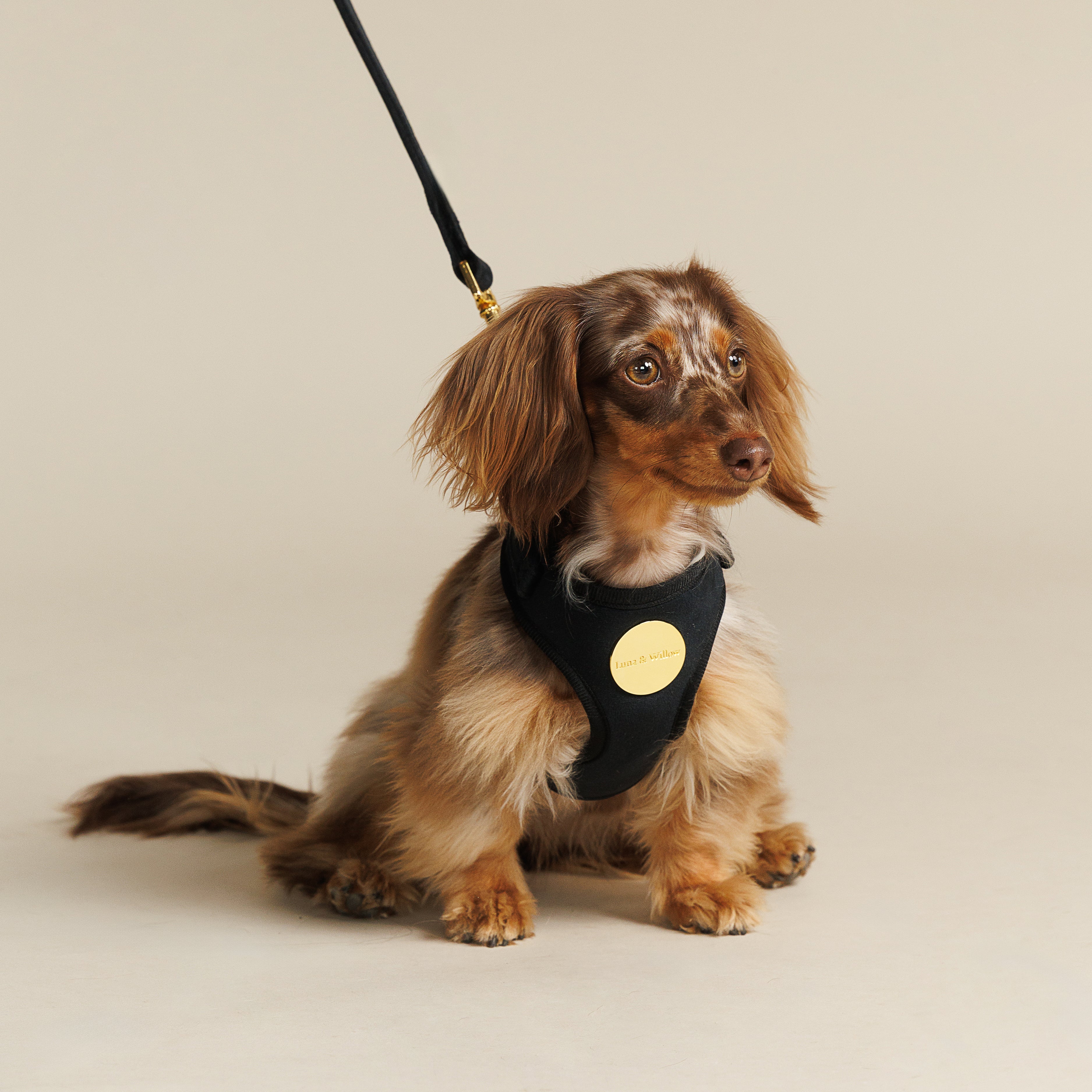 Onyx Harness