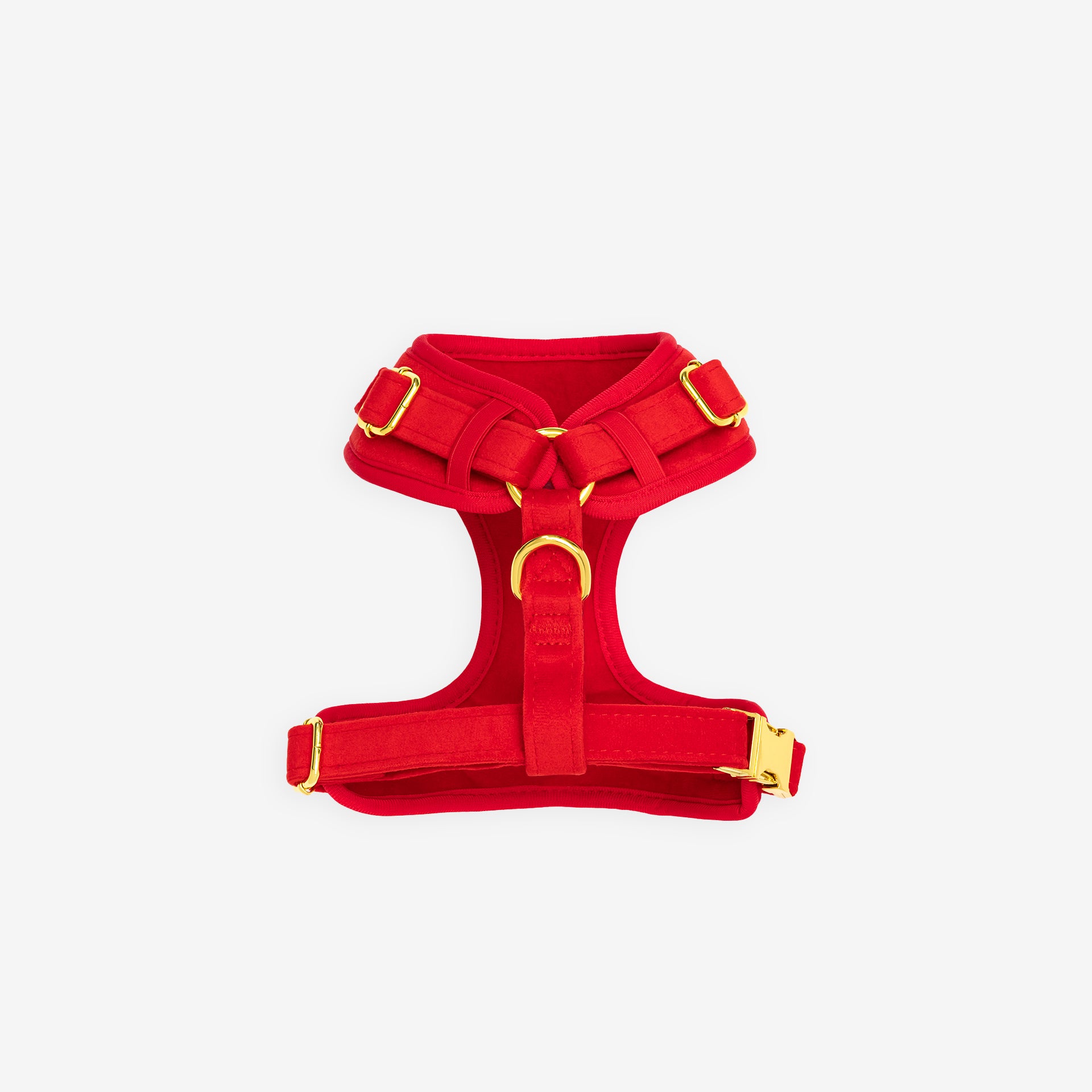 Ruby Harness Set