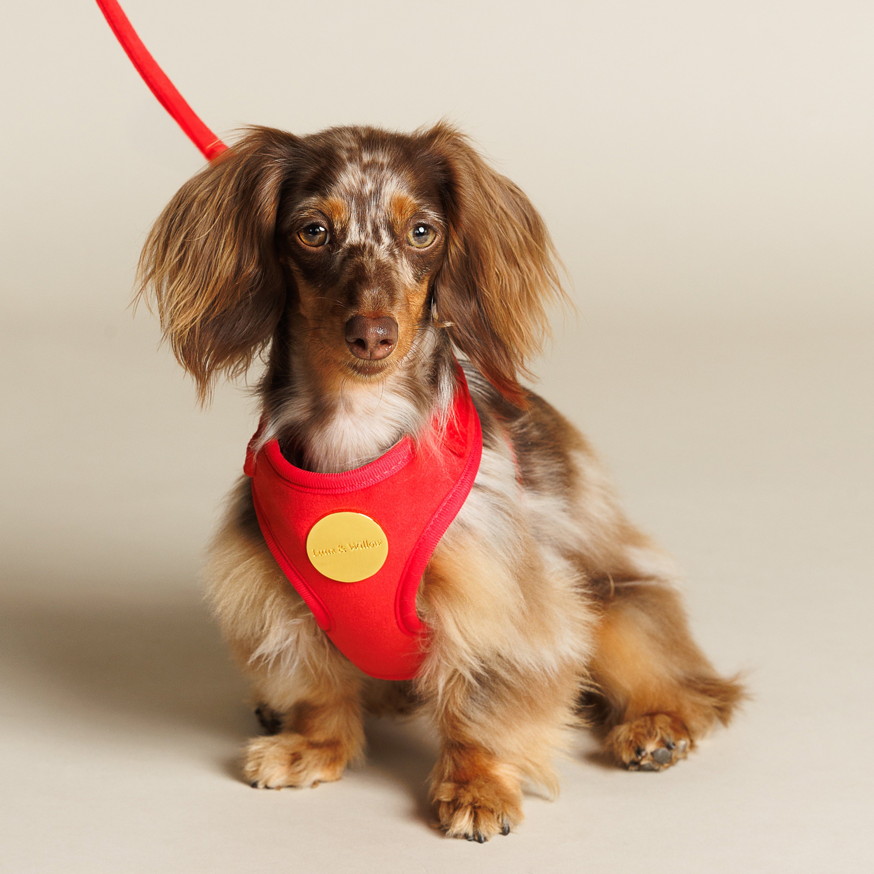 Ruby Harness