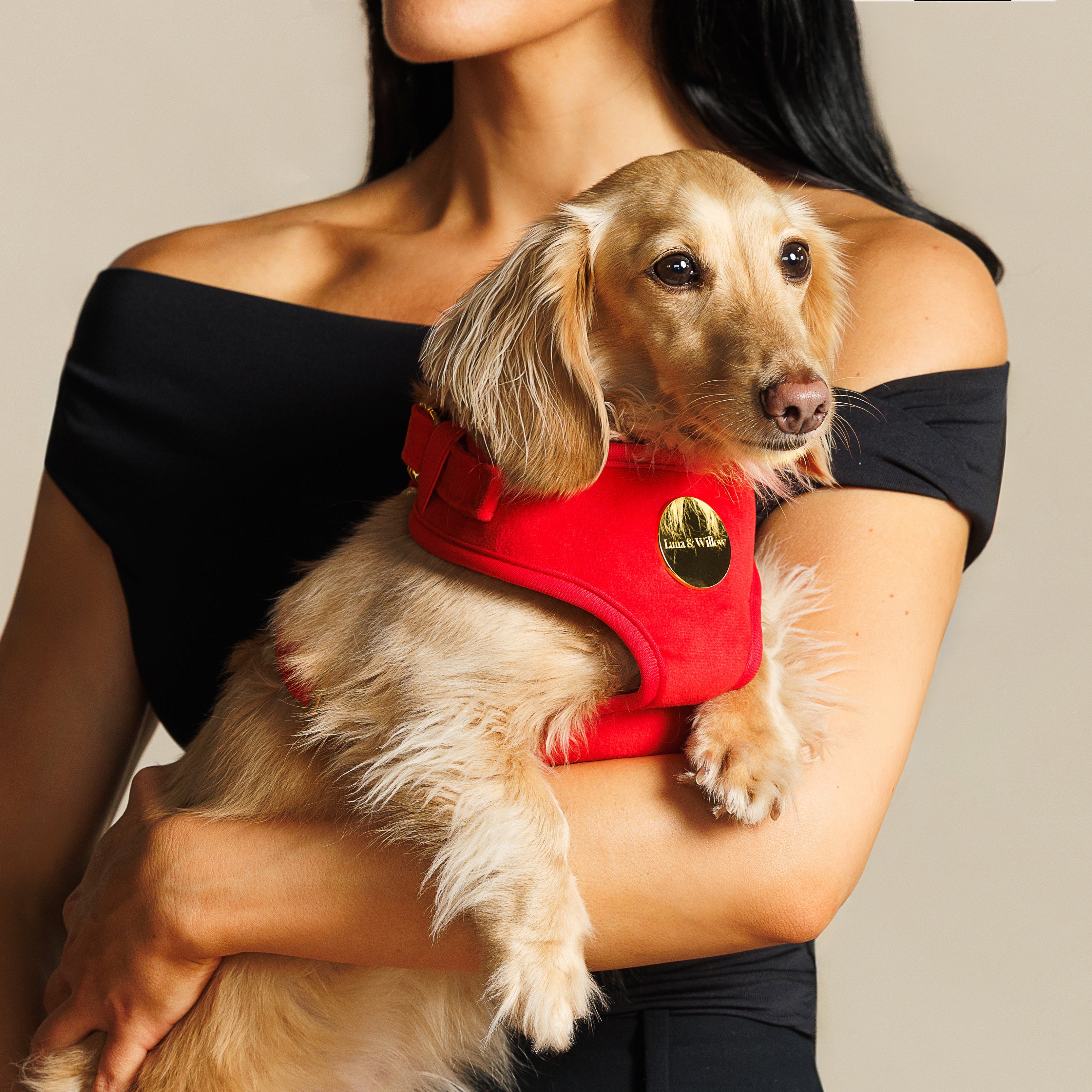 Ruby Harness