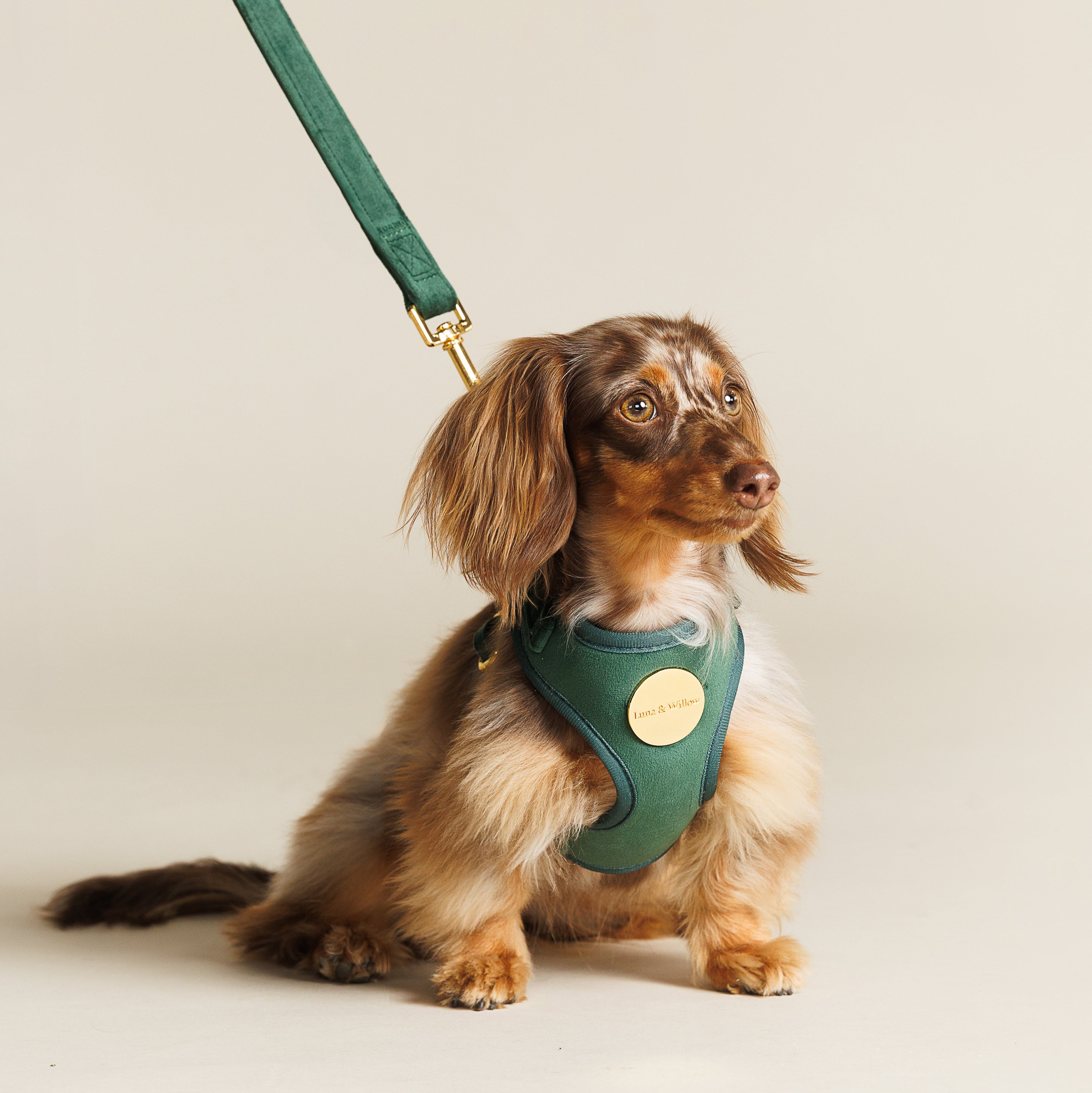 Emerald Harness