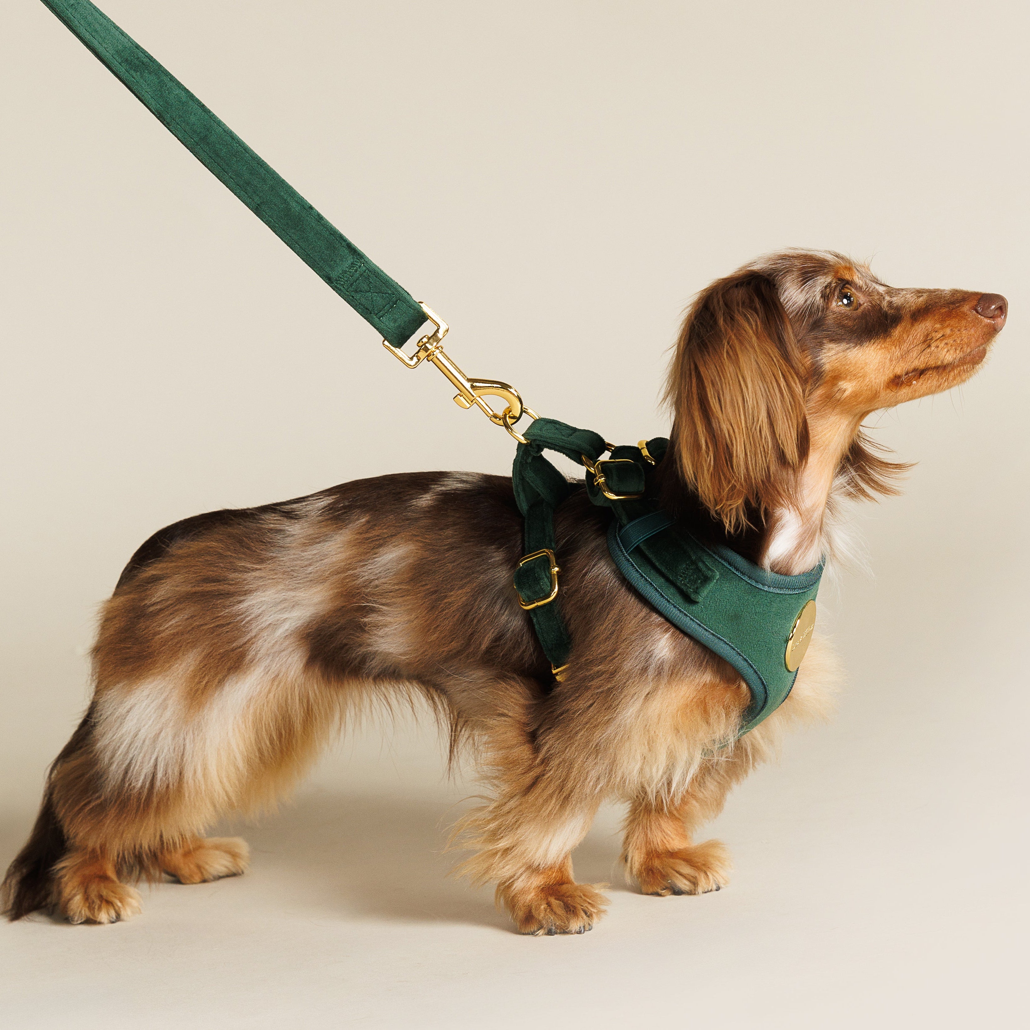Emerald Harness Set