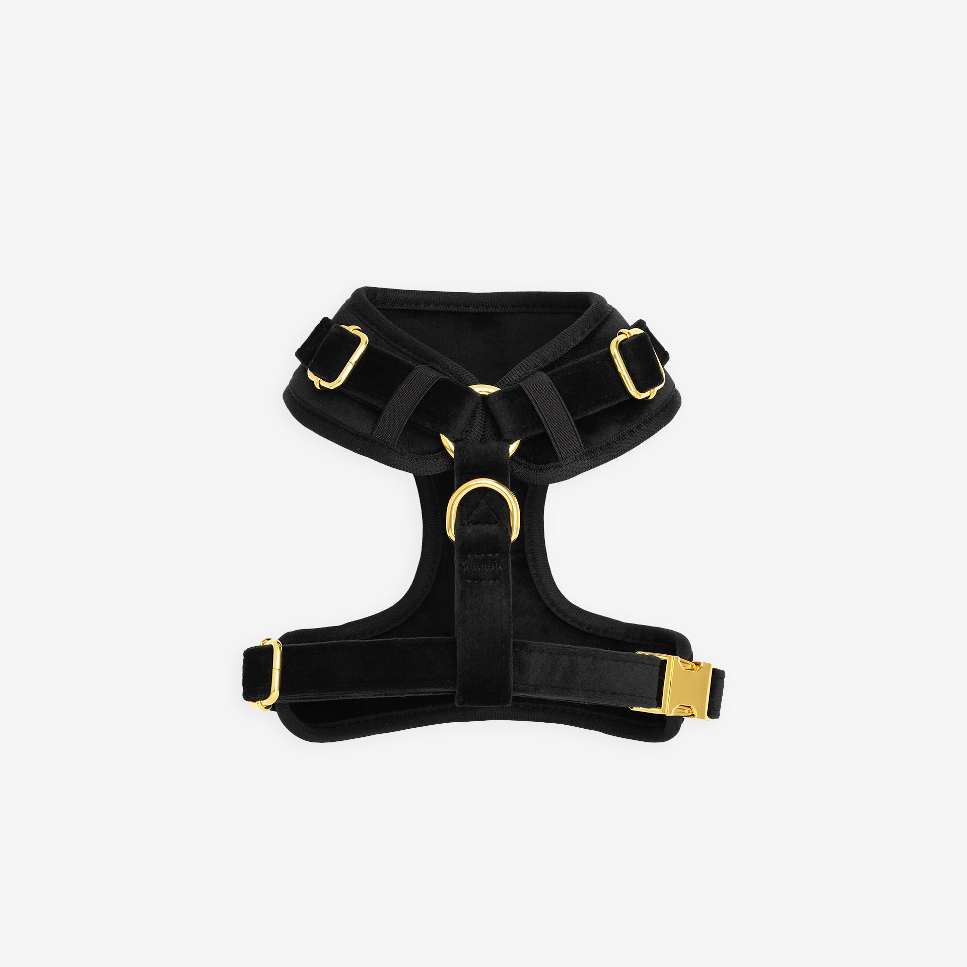Onyx Harness