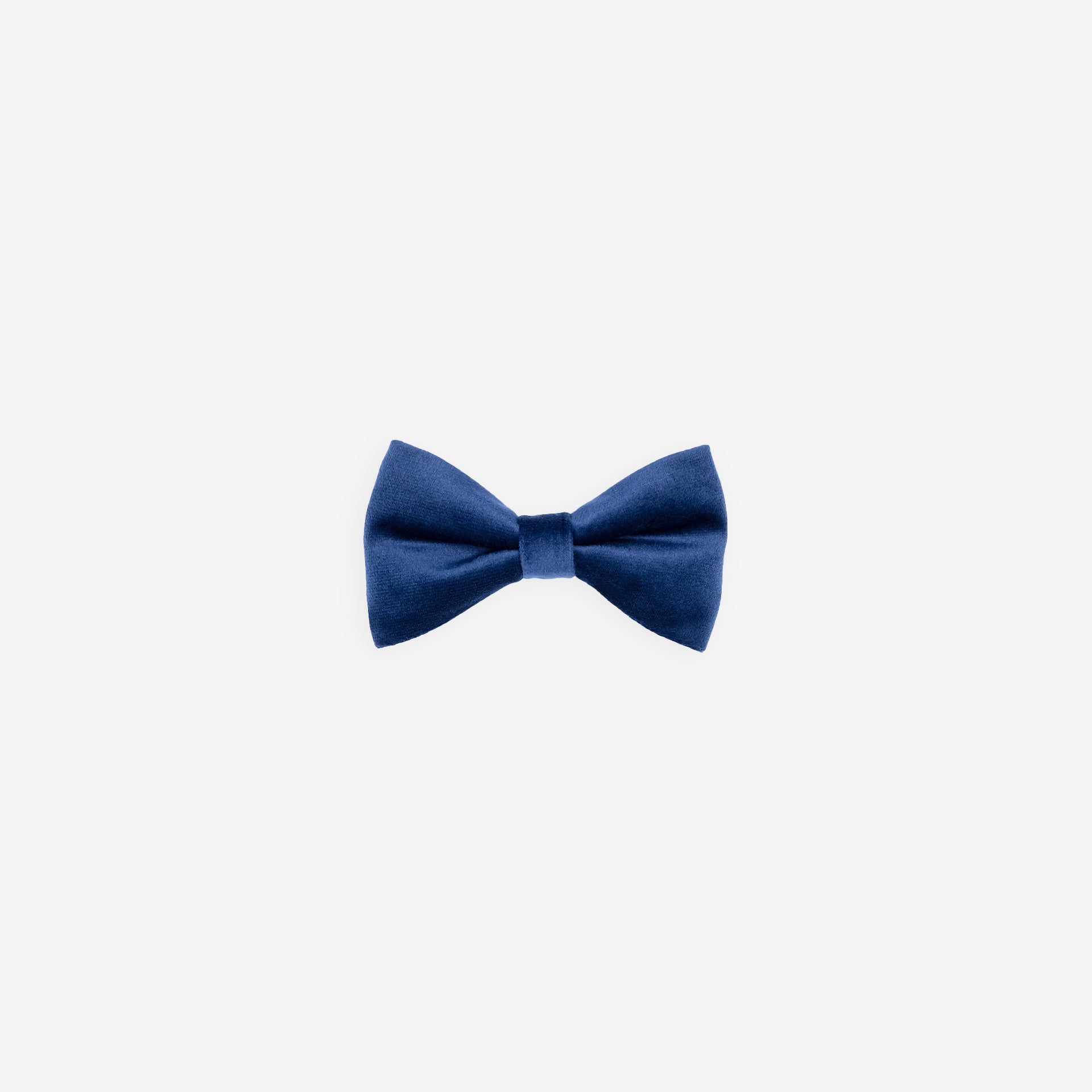 Sapphire Bowtie