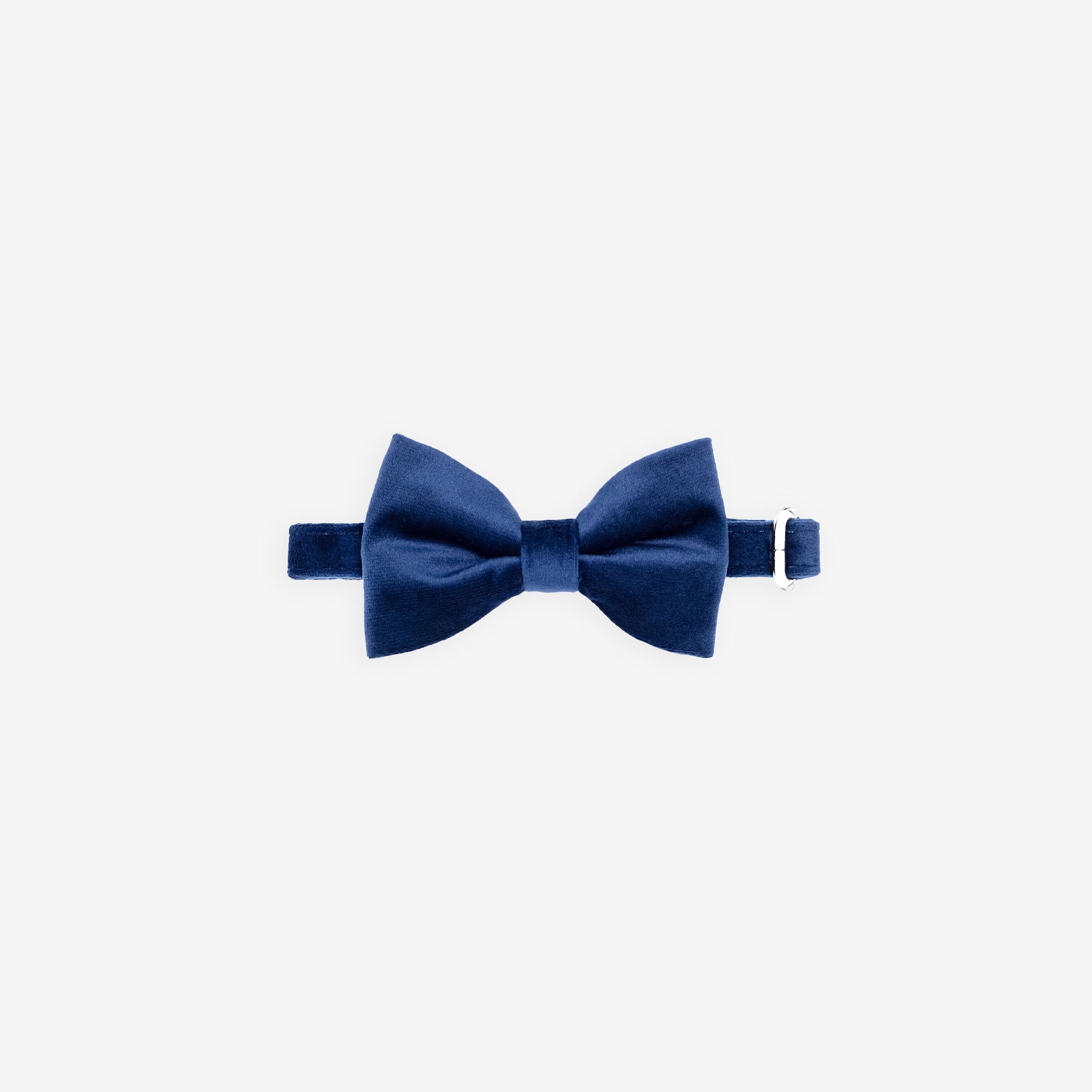 Sapphire Bowtie