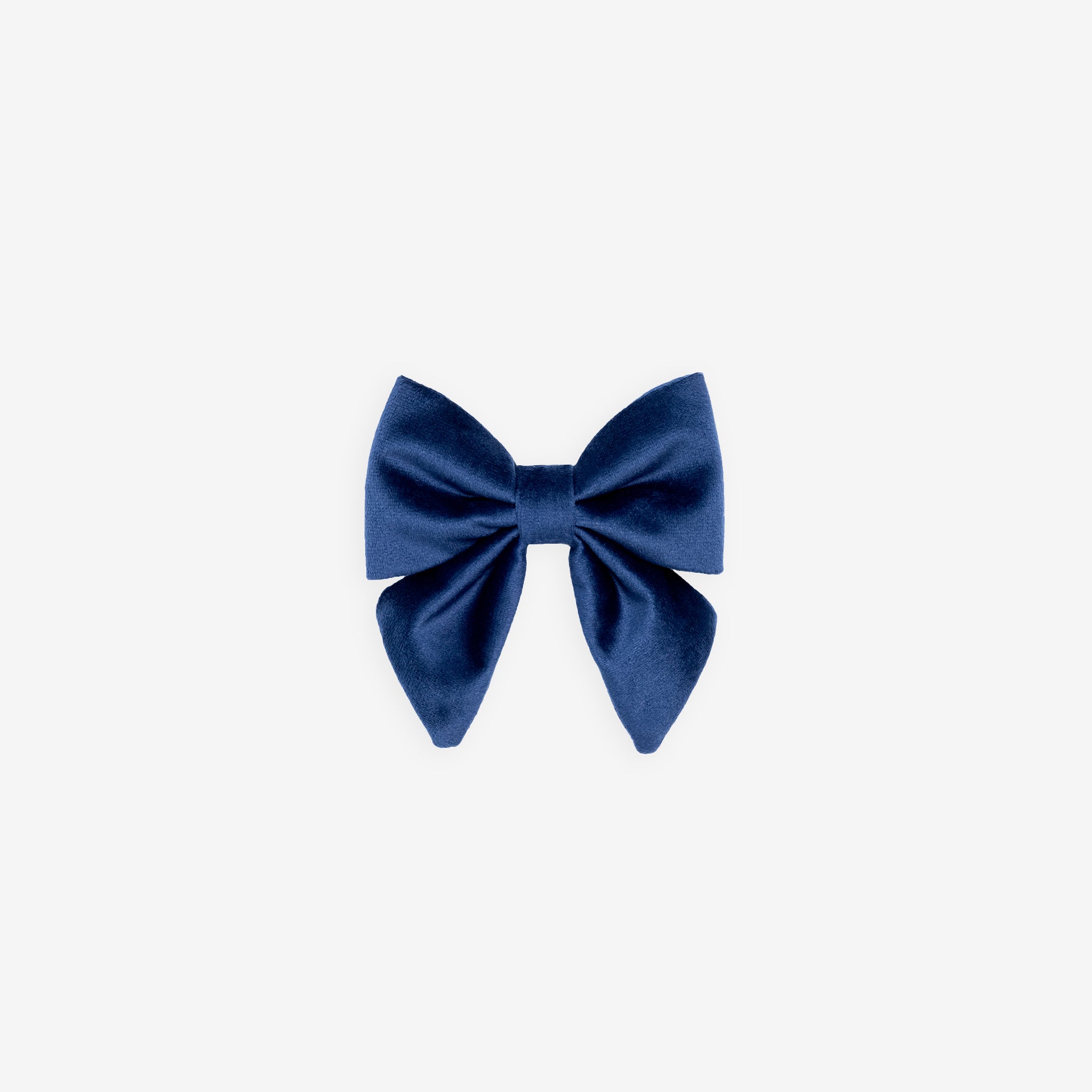 Sapphire Lady Bow