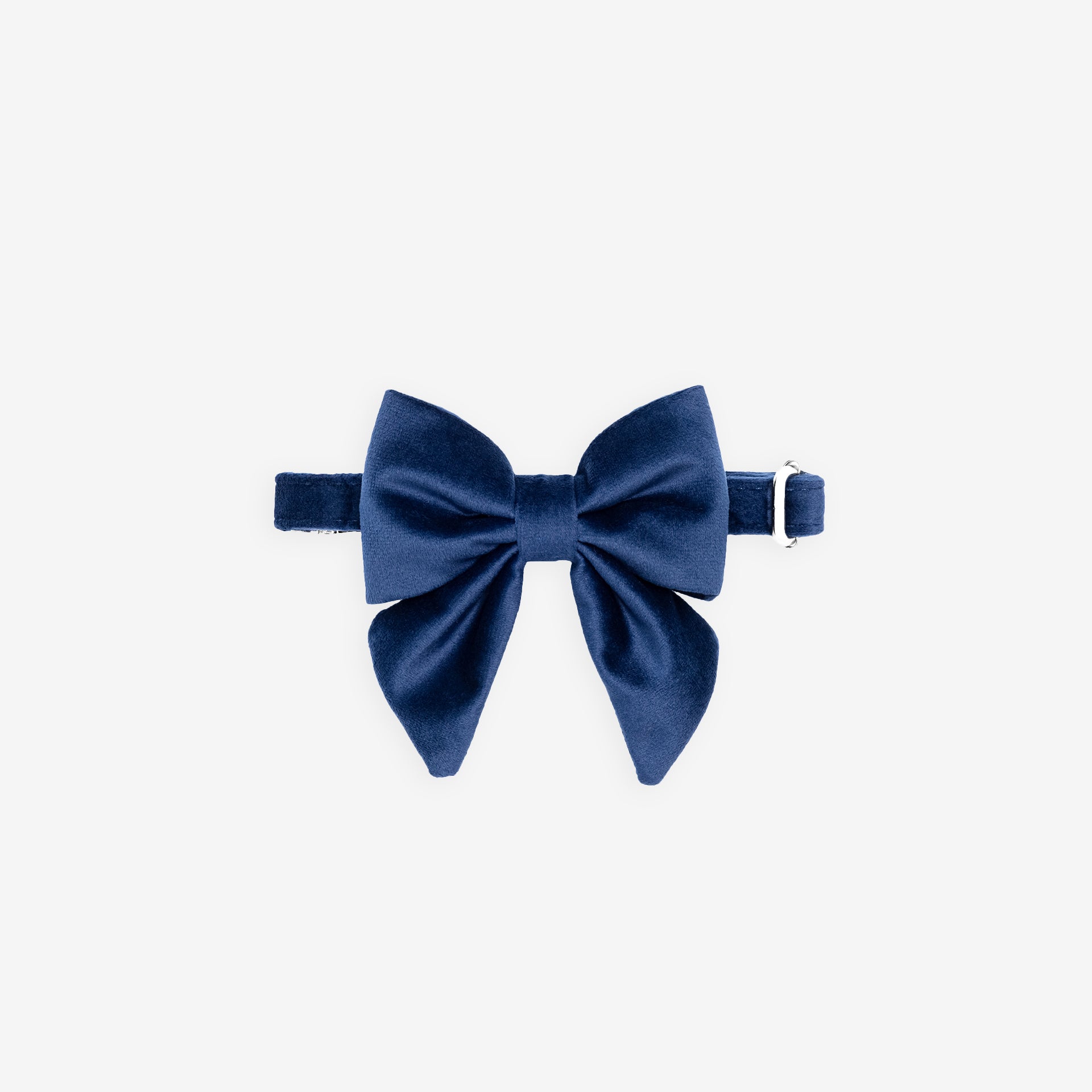 Sapphire Lady Bow