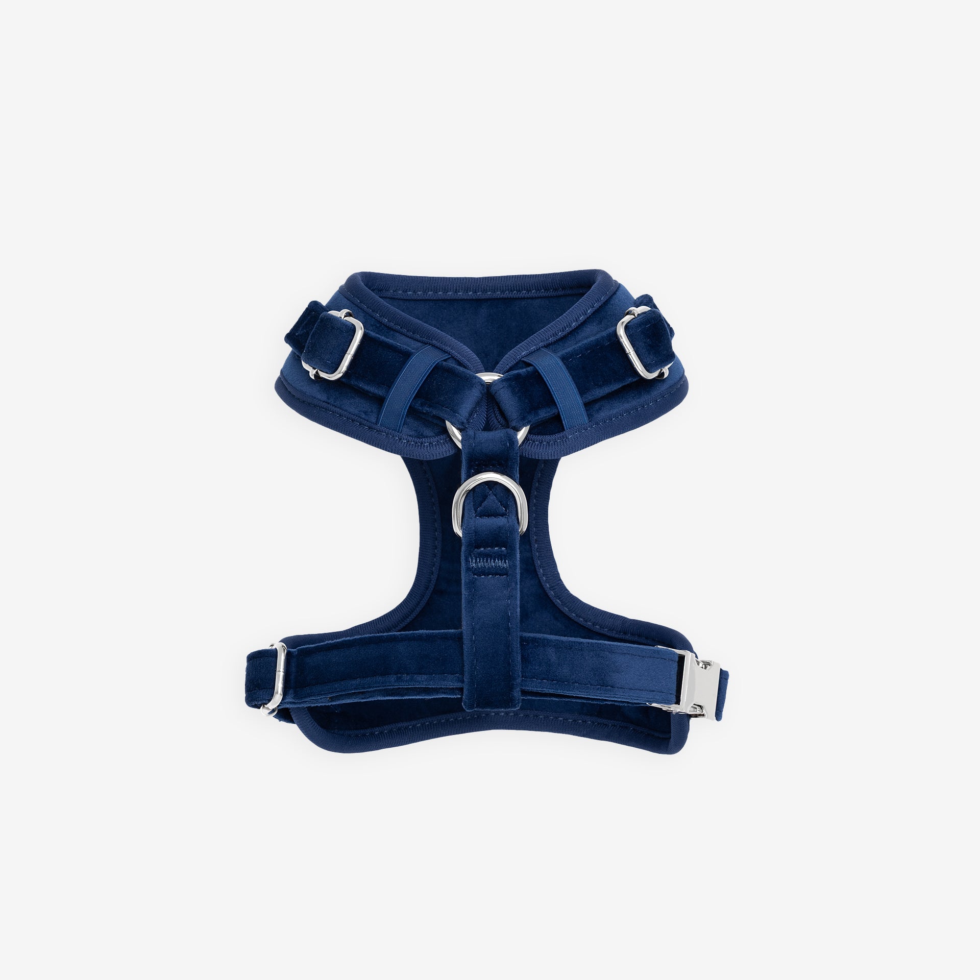 Sapphire Harness Set
