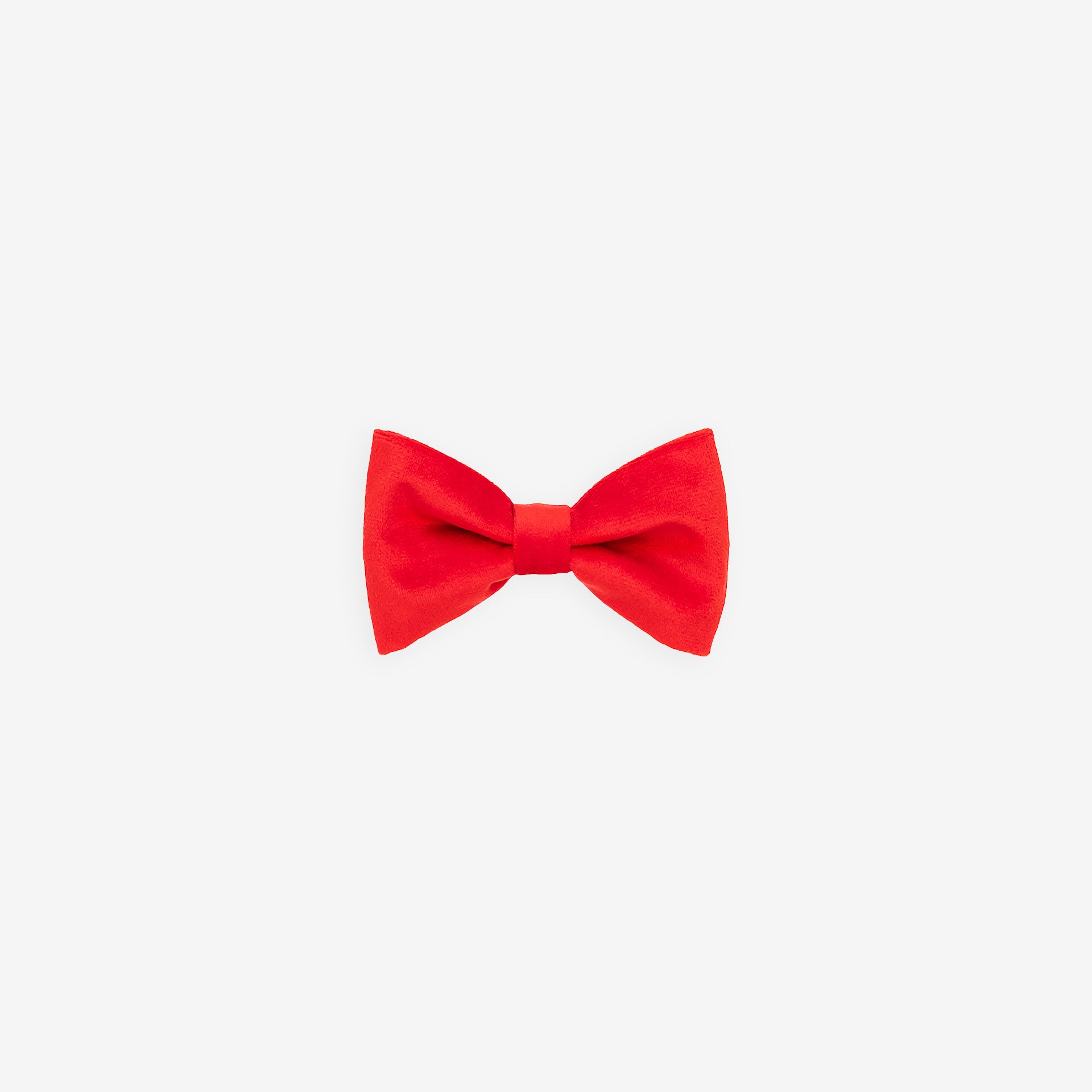 Ruby Bowtie