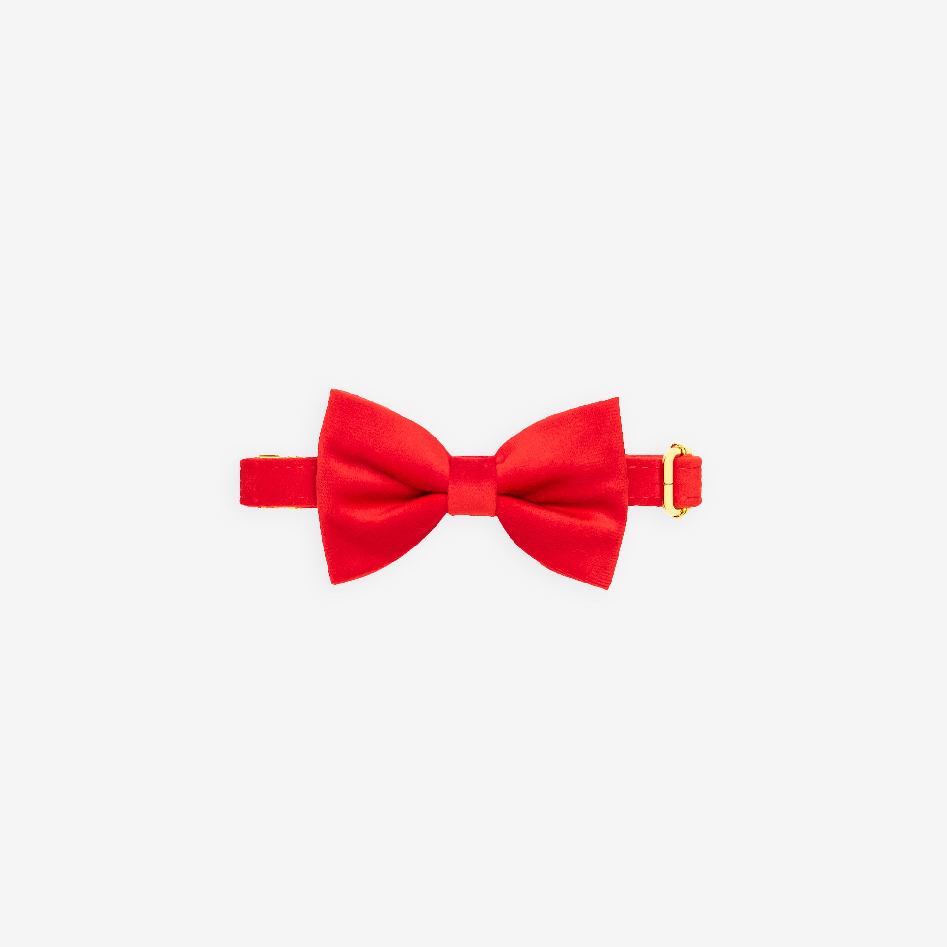 Ruby Bowtie