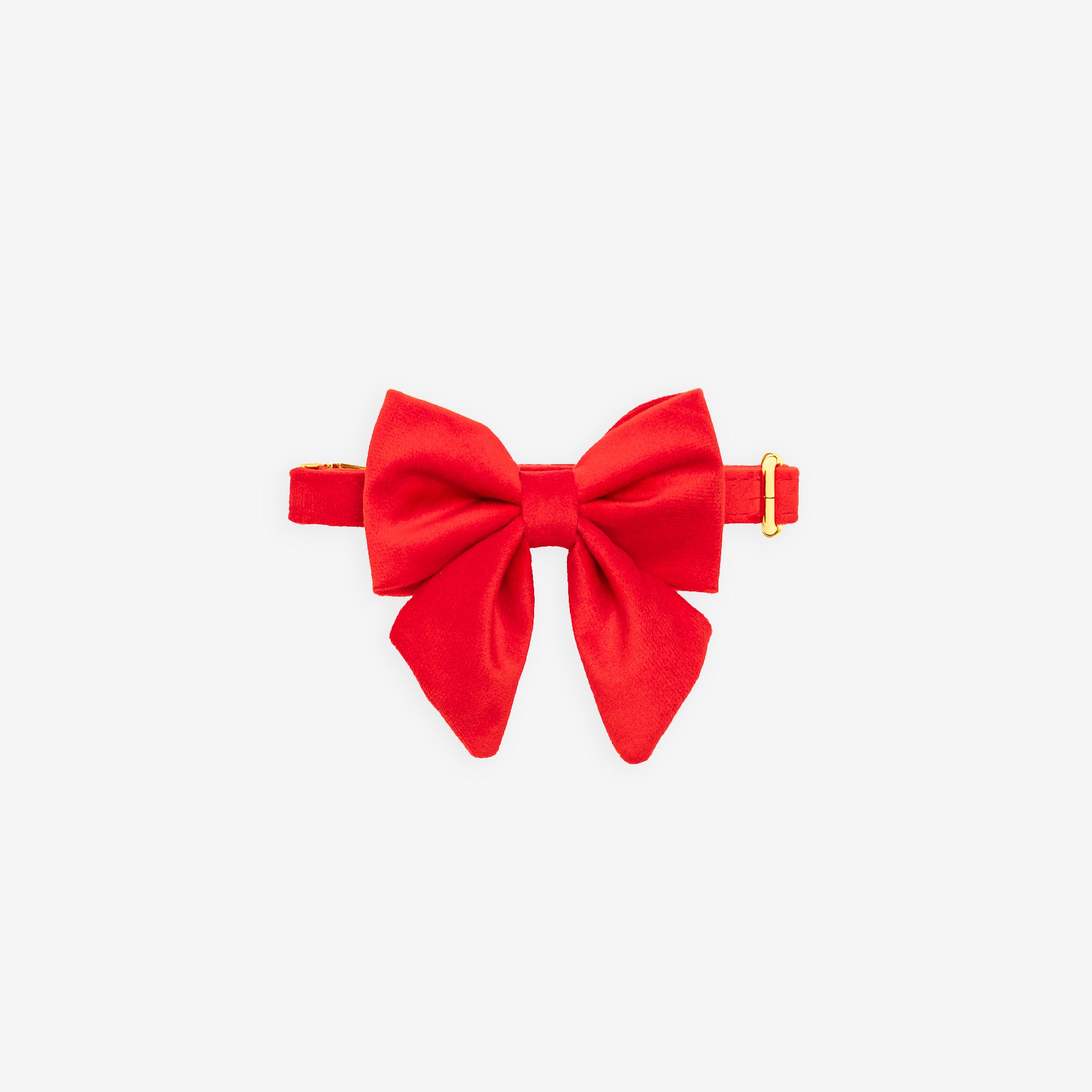 Ruby Lady Bow