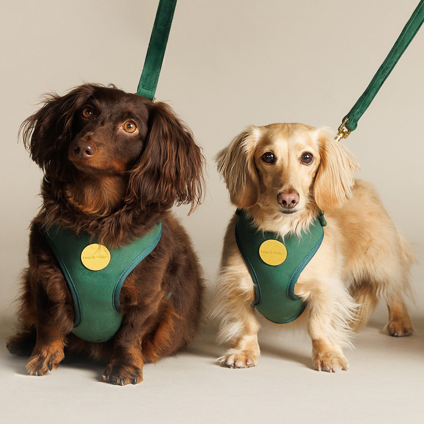 Emerald Harness Set
