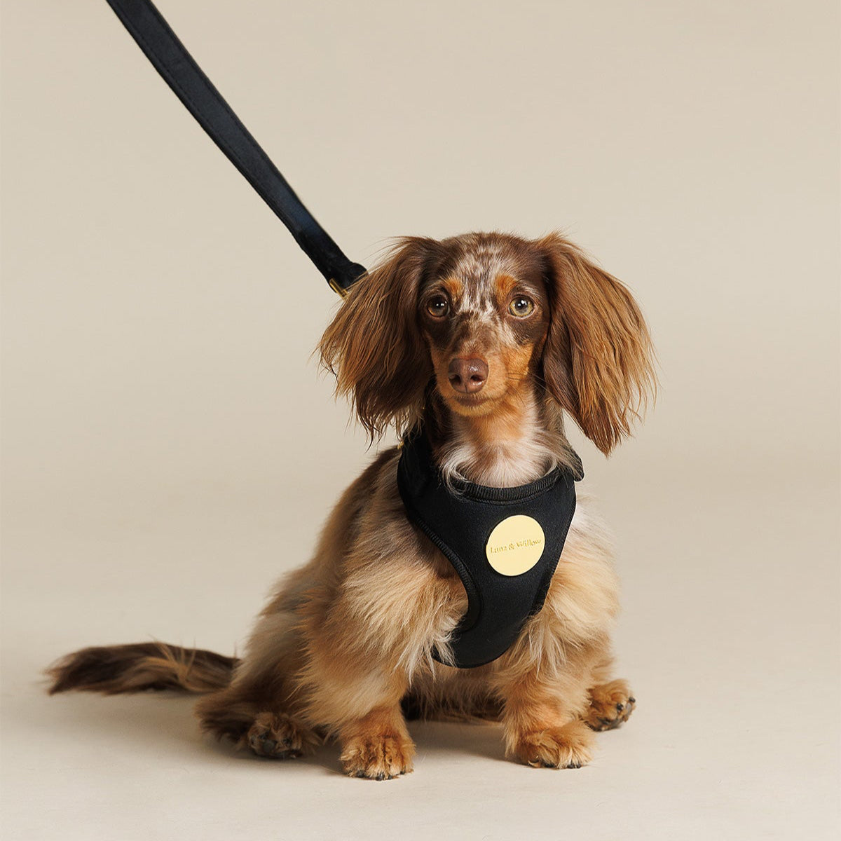 Onyx Harness Set
